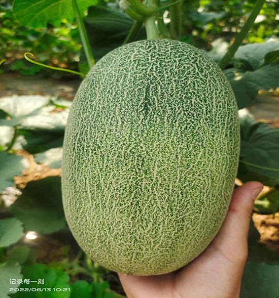 用戶反饋
