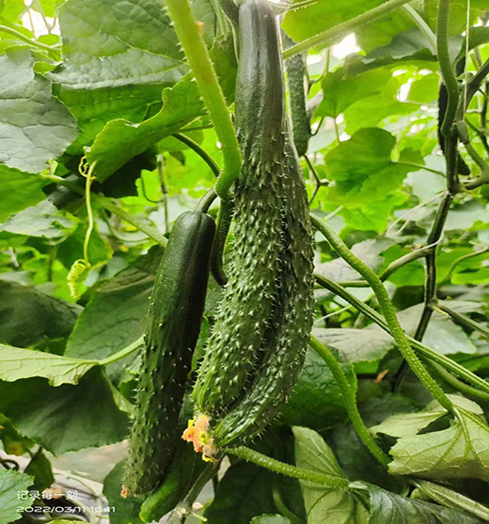 用戶反饋