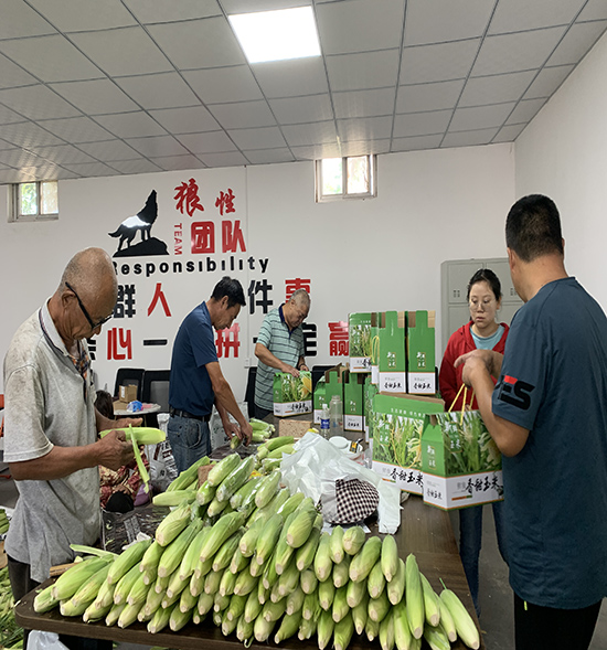 香甜玉米打包裝箱