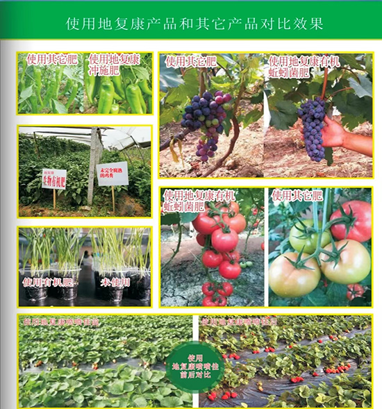 用戶反饋