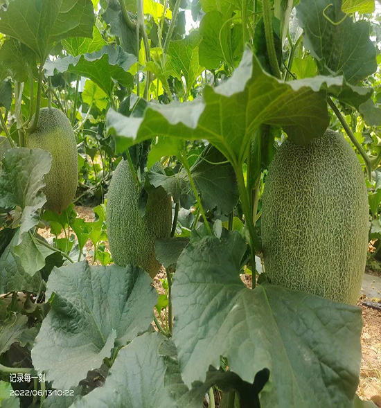 用戶反饋