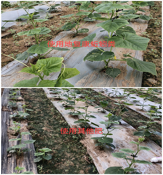 用戶反饋