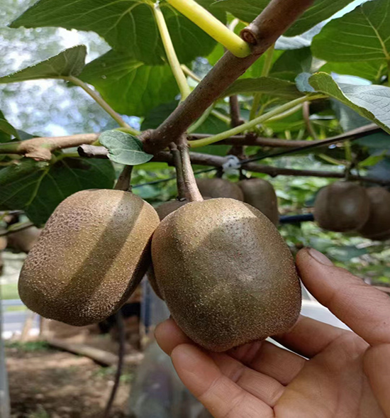 用戶反饋