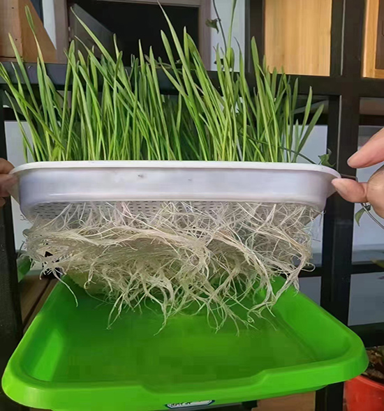 用戶反饋